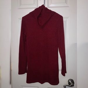 Longlseeve Turtleneck Dress